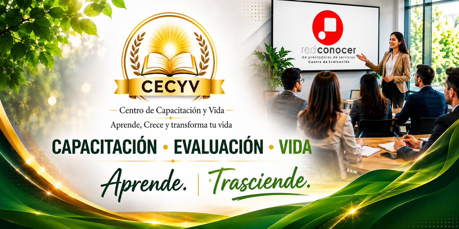 banner principal cecyv